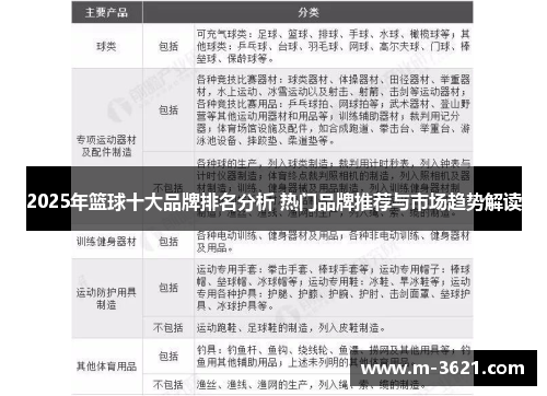 2025年篮球十大品牌排名分析 热门品牌推荐与市场趋势解读