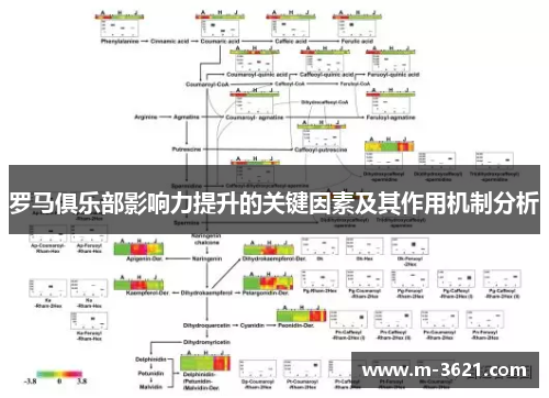 罗马俱乐部影响力提升的关键因素及其作用机制分析