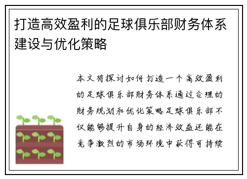 打造高效盈利的足球俱乐部财务体系建设与优化策略