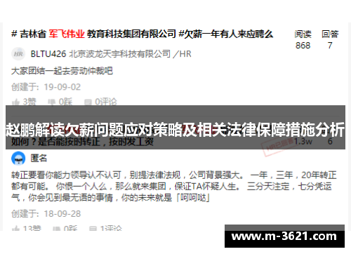 赵鹏解读欠薪问题应对策略及相关法律保障措施分析
